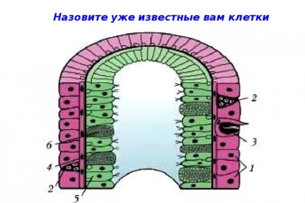 Как вывести деньги с кракена