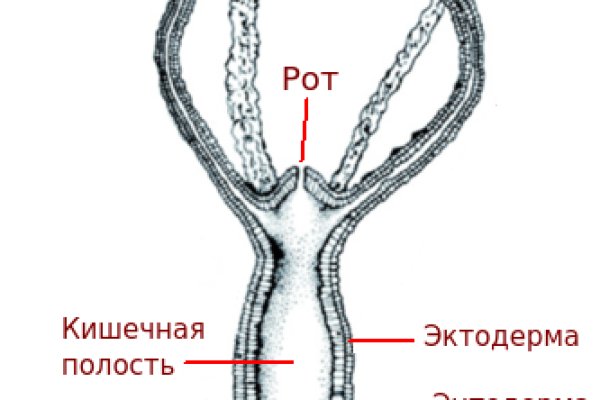 Кракен онион kraken dark link