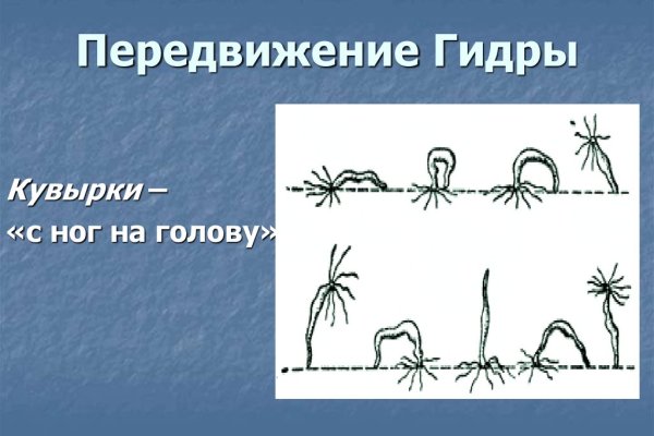 Kraken в россии